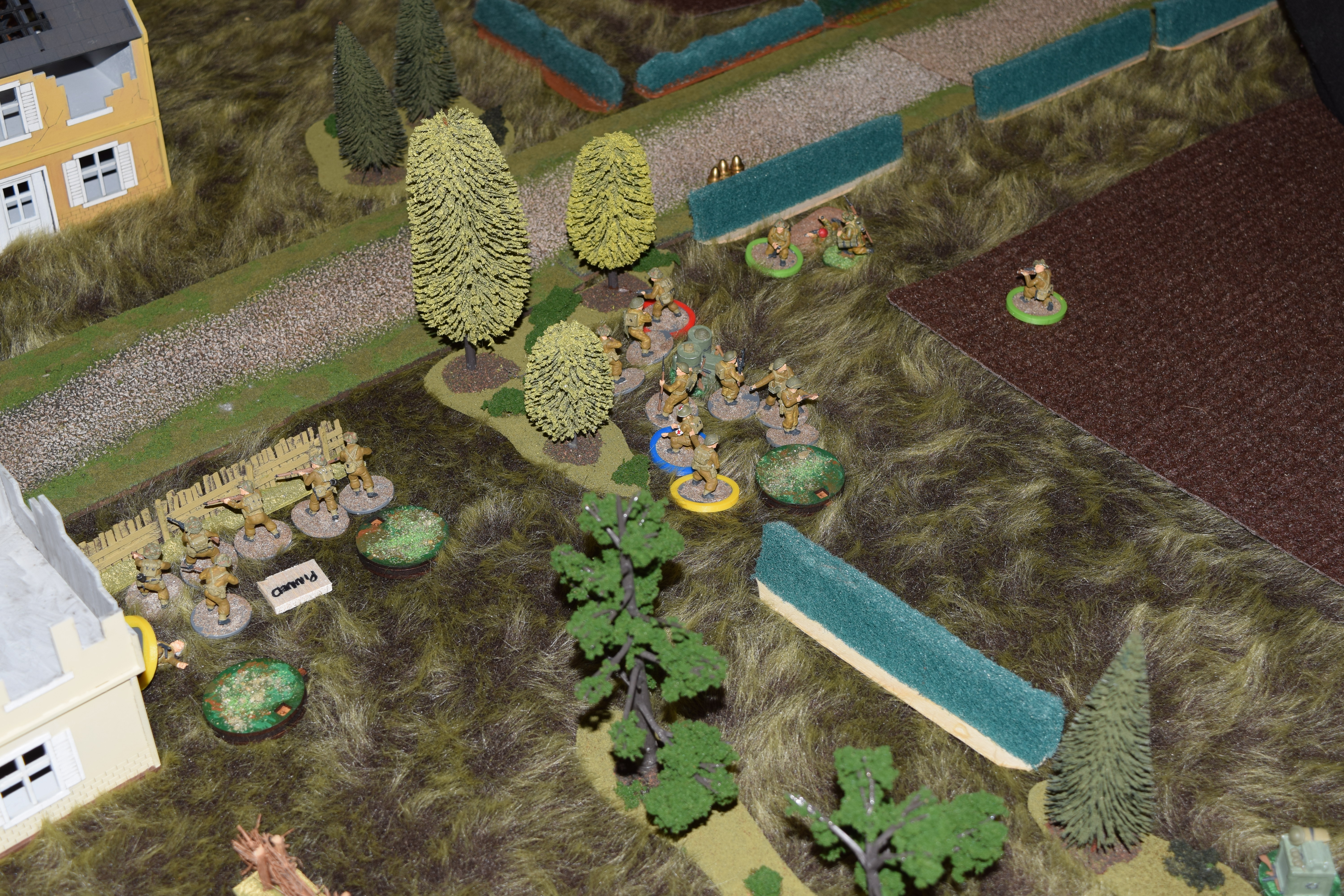 Support from the Light Mortar